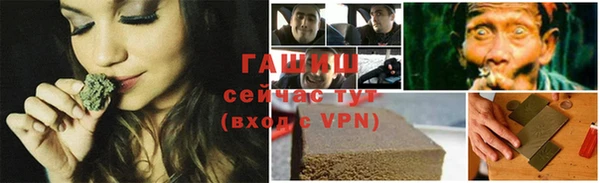 сатива Козловка