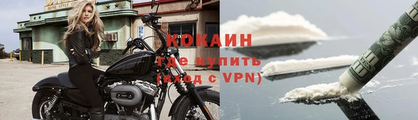 сатива Козловка