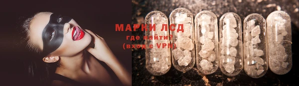 сатива Козловка