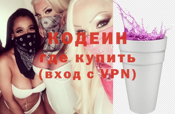 сатива Козловка