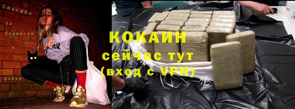 сатива Козловка