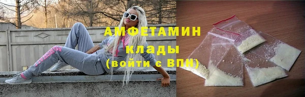 сатива Козловка
