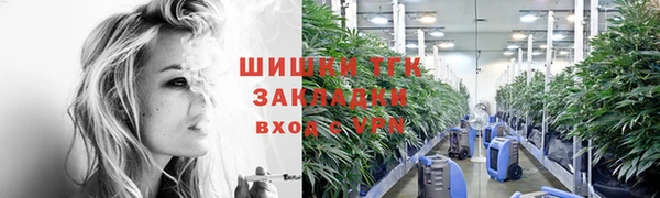сатива Козловка